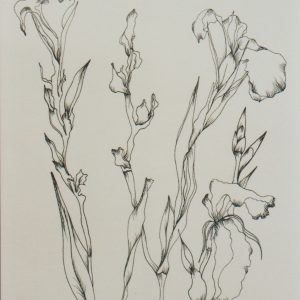 Catalog Raisonne - Jardin