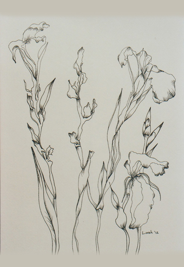 catalog raisonne jardin 001