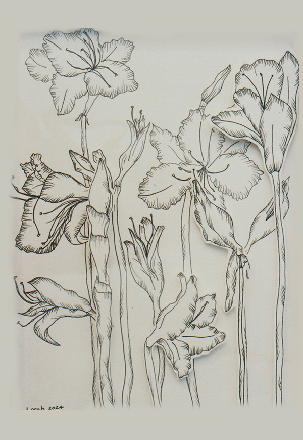 catalog raisonne meadow's end 001