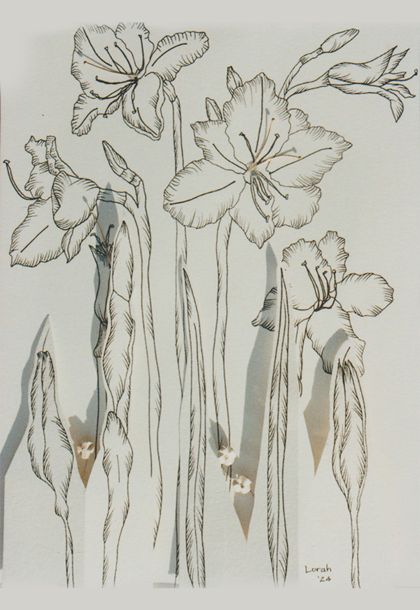 exhibits catalogue raisonne mid summer 2024 002