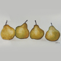 exhibits catalogue raisonne pear seeded 2004 001 2
