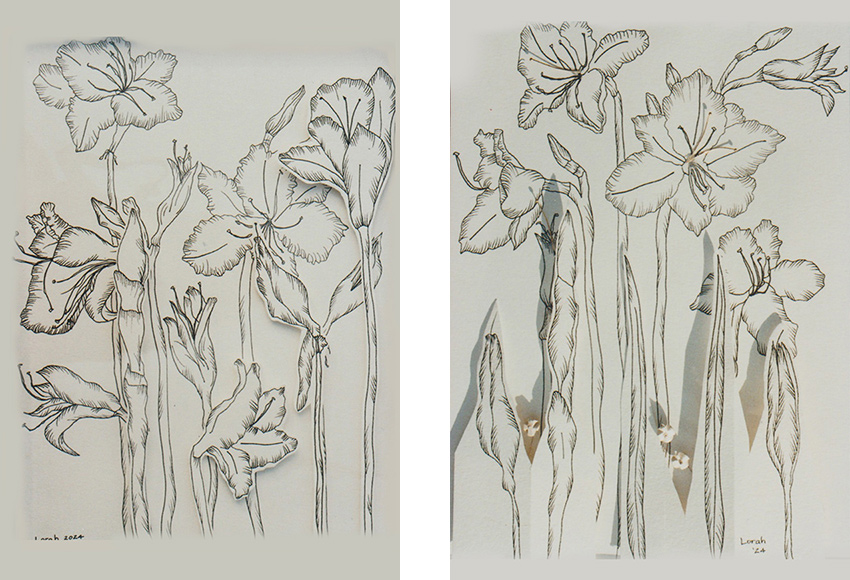 mid summer and mid end img